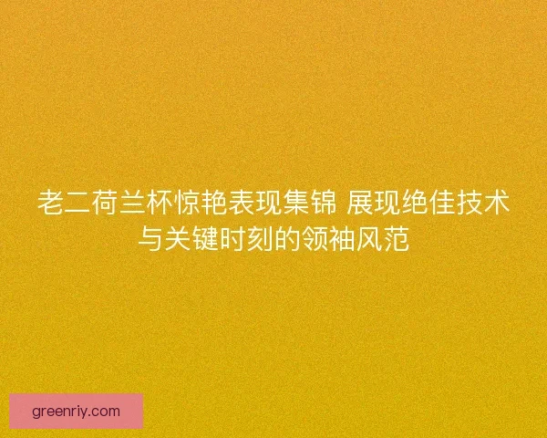 老二荷兰杯惊艳表现集锦 展现绝佳技术与关键时刻的领袖风范